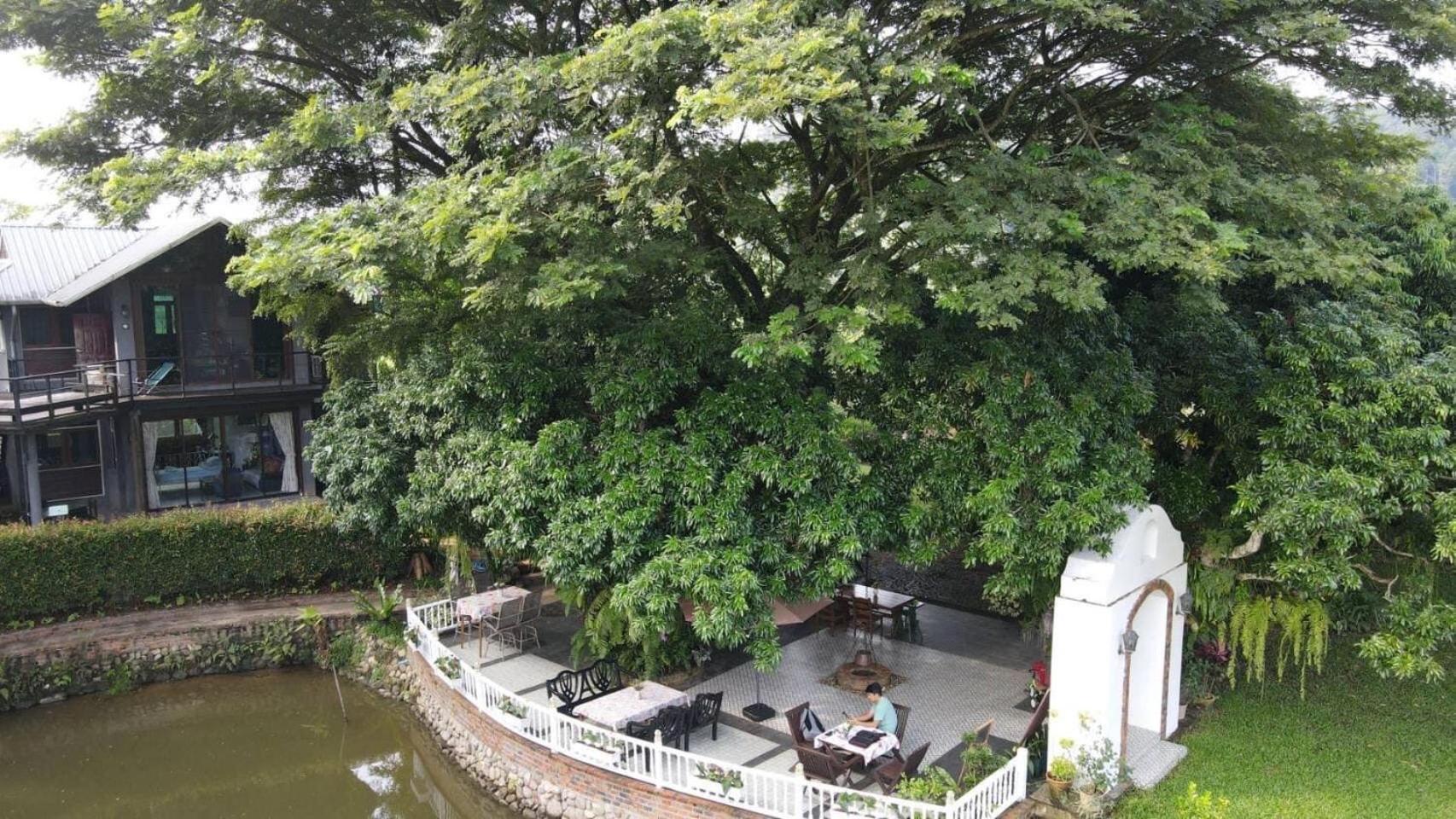 Bed and Breakfast Gumbie House Fang Экстерьер фото